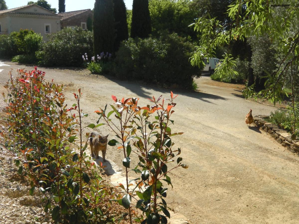 Bed & Breakfast De L'evajade