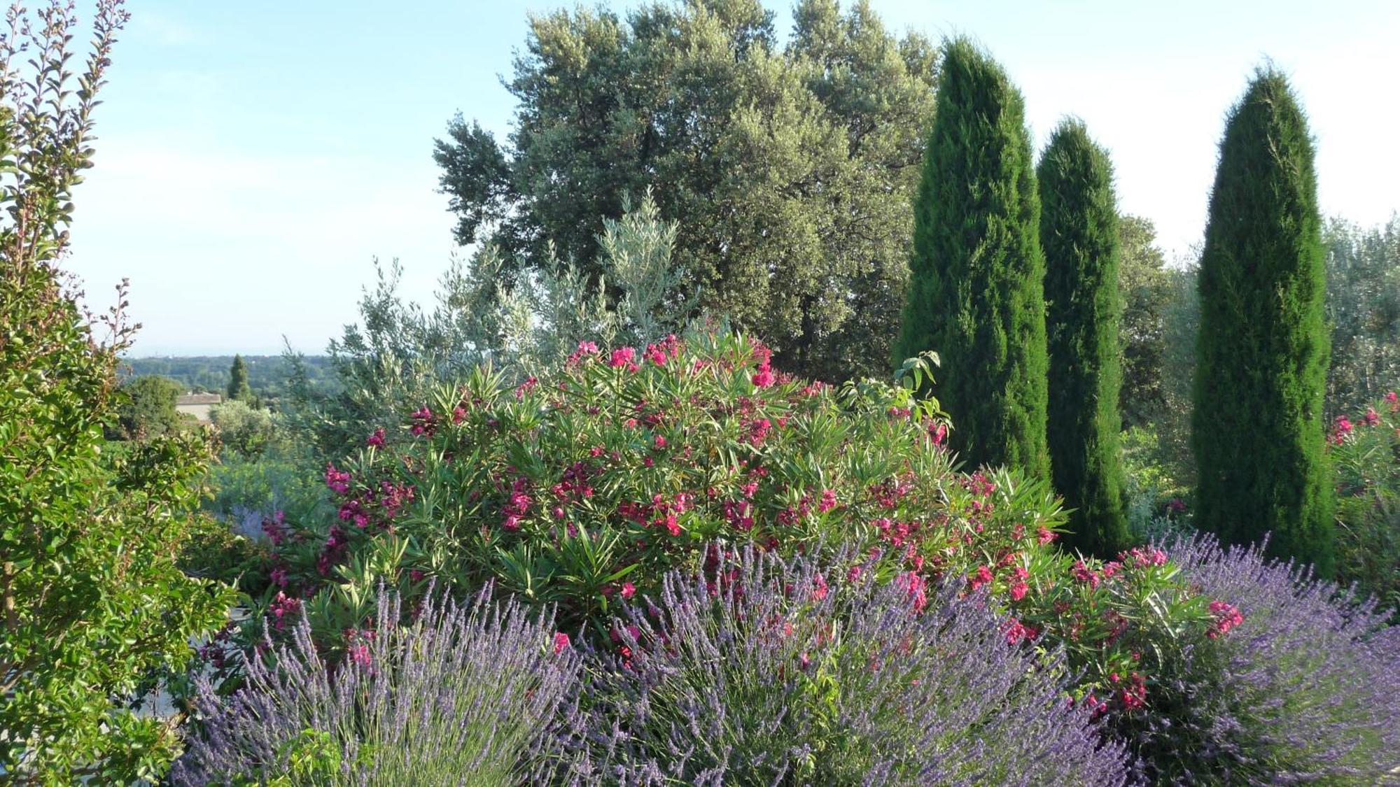 Bed & Breakfast De L'evajade Beaumes-de-Venise
