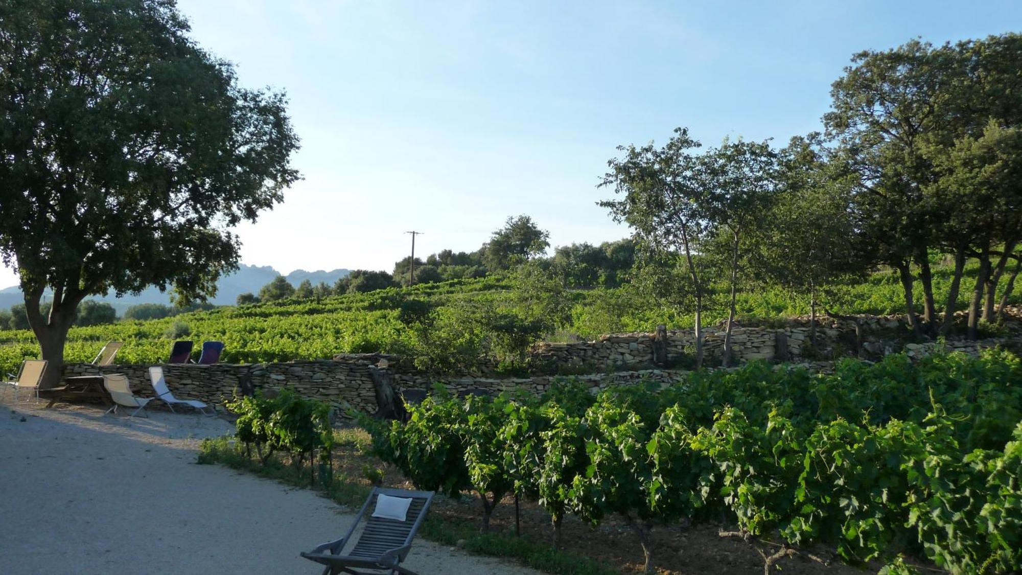 Bed & Breakfast De L'evajade Beaumes-de-Venise