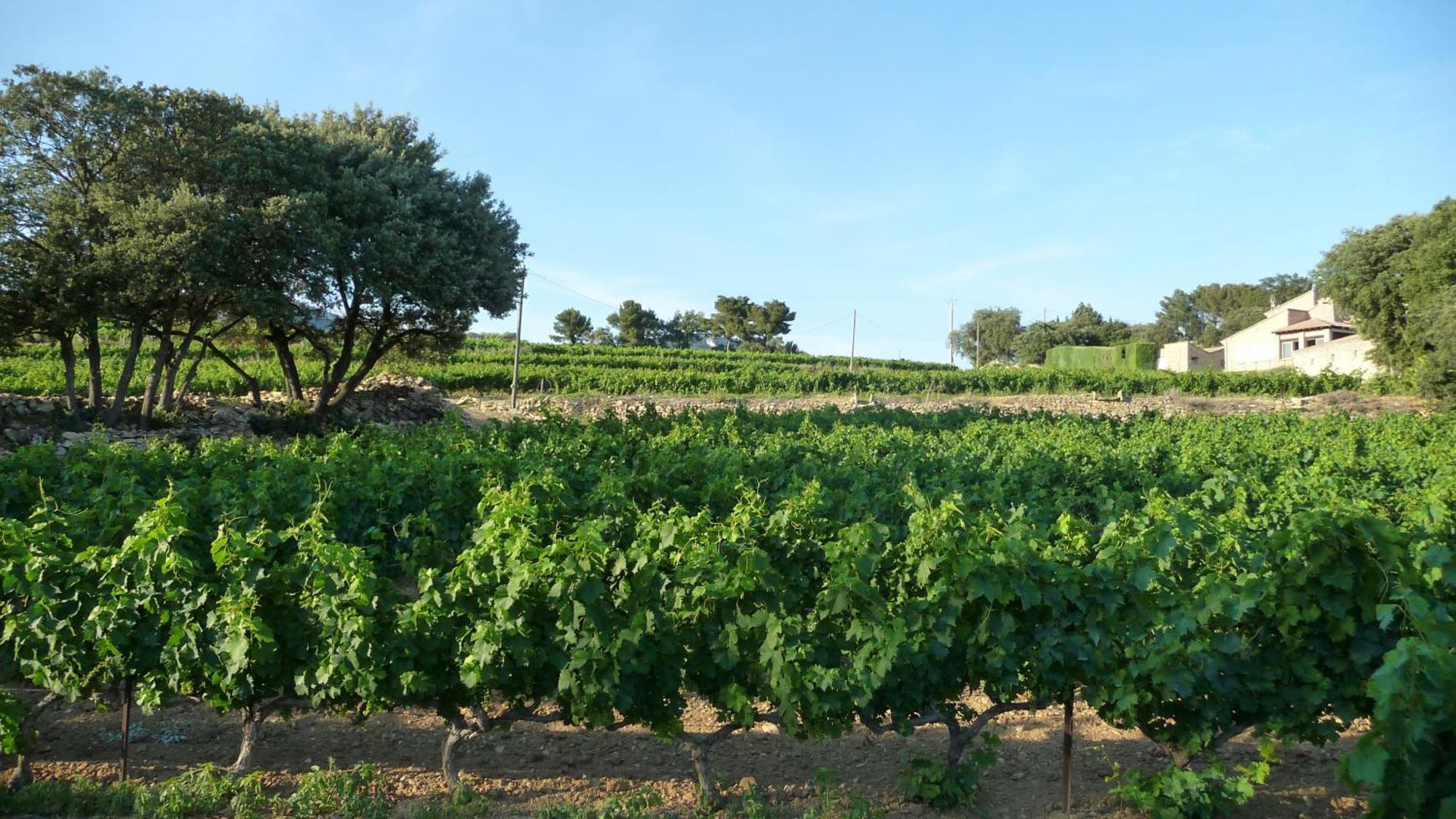 Bed & Breakfast De L'evajade Beaumes-de-Venise