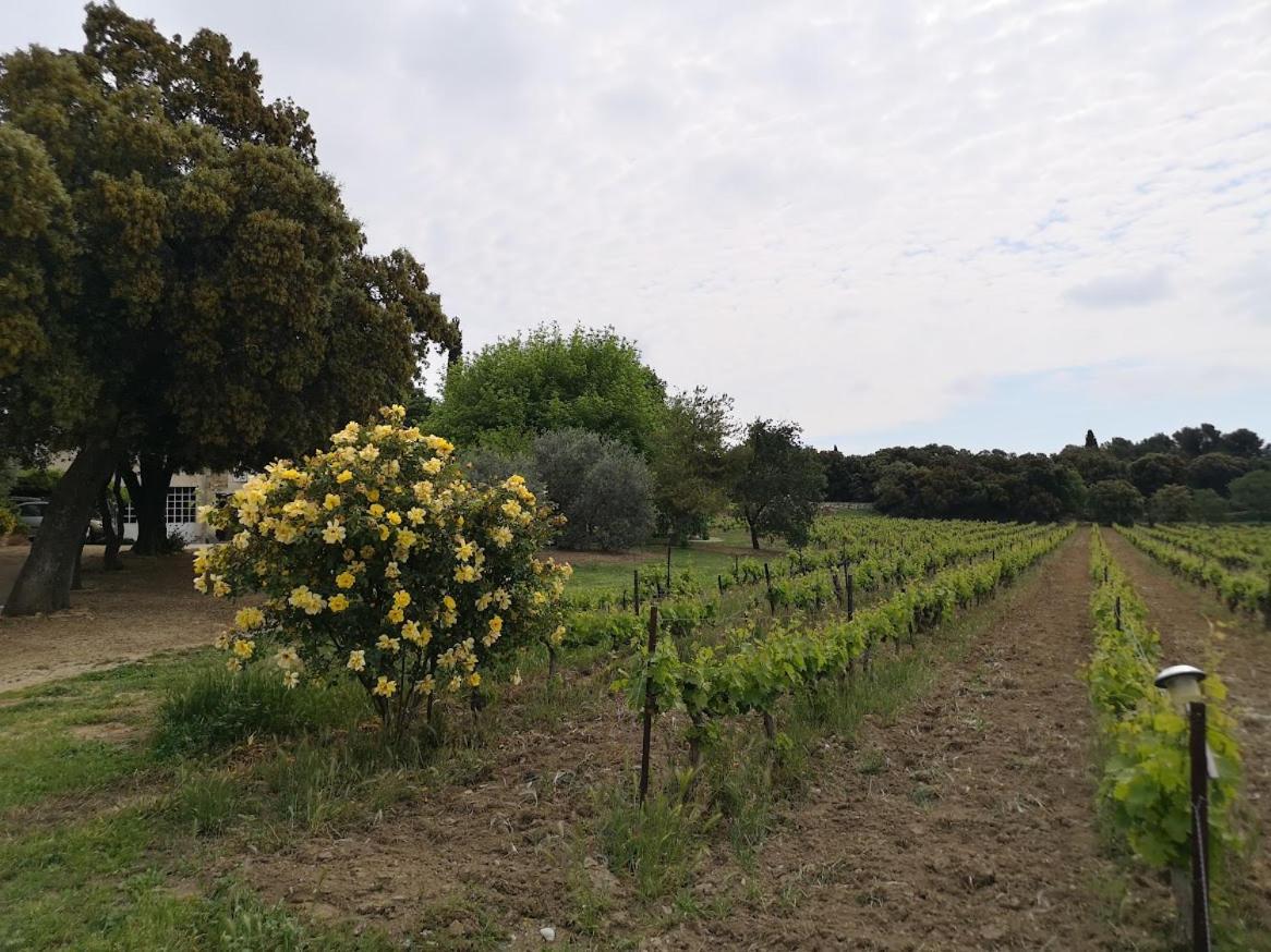 Bed & Breakfast De L'evajade Beaumes-de-Venise