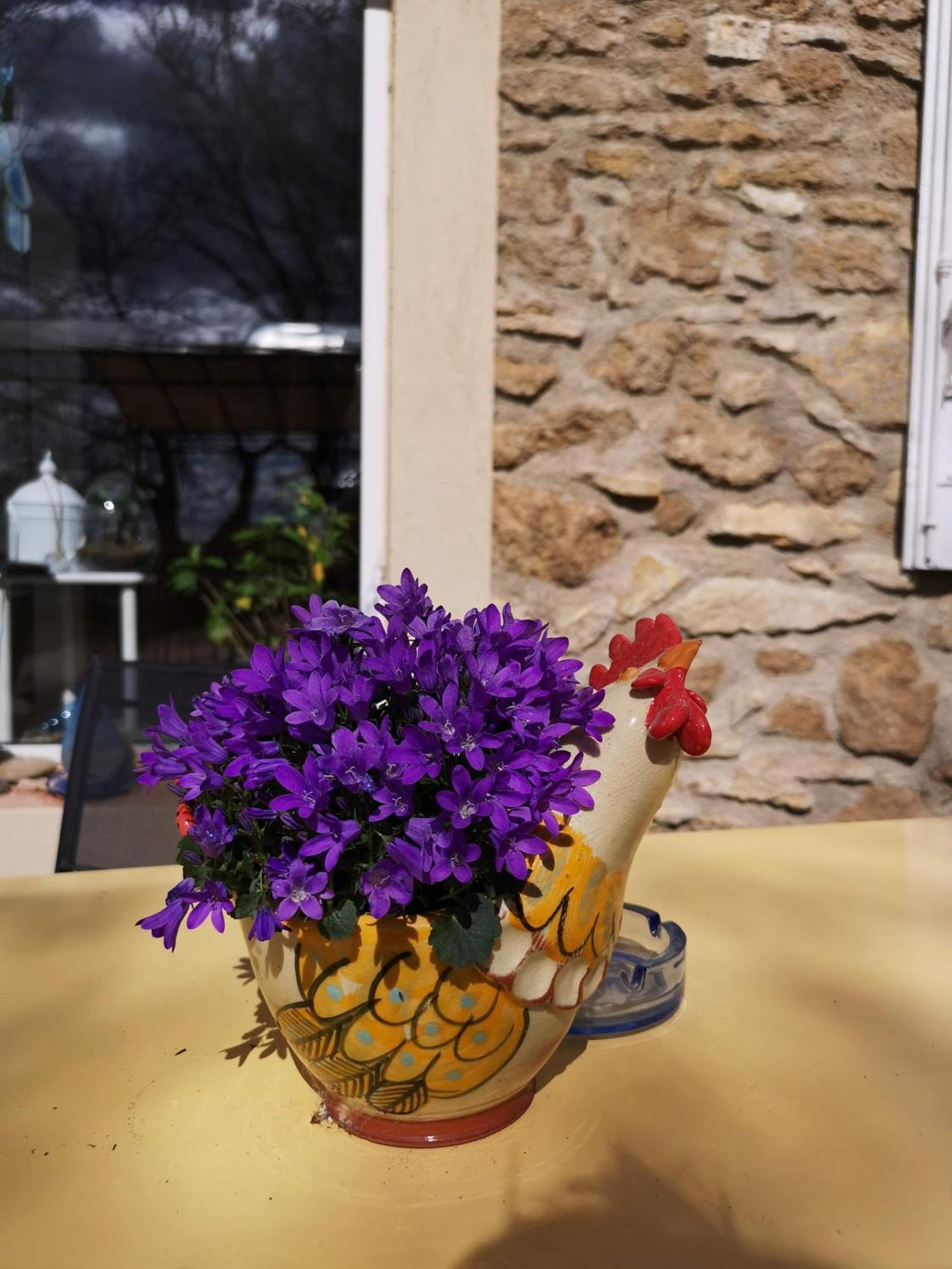 De L'evajade Bed & Breakfast Beaumes-de-Venise
